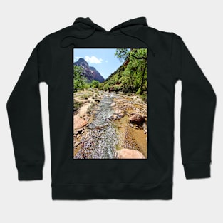 Zion National Park Hoodie